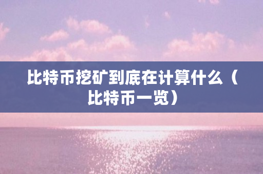 比特币挖矿到底在计算什么（比特币一览）